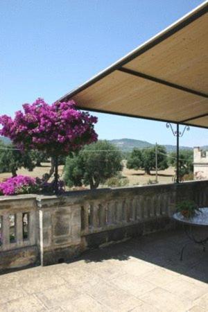 Masseria Salamina Landhuis